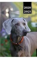 Great Dane Dog Calendar Week Planner 2020 / 2021 - Dreamy Look: Pup Puppy Doggie Pet Owner Weekly Bullet Journal Notebook Diary in 6" x 9" Inch Pocket Size
