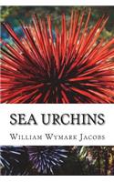 Sea Urchins