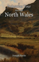 Pedestrian Tour through North Wales in a Series of Letters