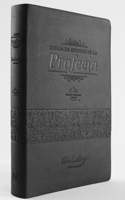 Rvr 1960 Biblia de la Profecía Color Negro Iimitación Piel / Prophecy Study Bib Le Black Imitation Leather