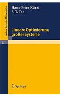 Lineare Optimierung Großer Systeme