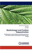 Biodrainage and Carbon Sequestration