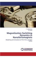 Magnetization Switching Dynamics in Nanoferromagnets