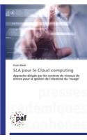 Sla Pour Le Cloud Computing