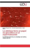 Aldolasa Tiene Un Papel No-Glucolitico En El Espermatozoide