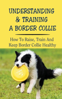 Understanding & Training A Border Collie: How To Raise, Train And Keep Border Collie Healthy: What To Do And What Not To Do To Train A Border Collie