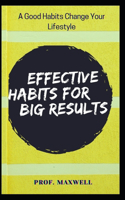 Effective Habits for Big Results