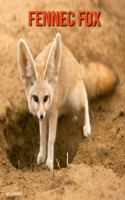 Fennec Fox