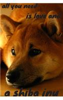 all you need is love and a shiba inu
