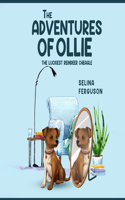 Adventures of Ollie