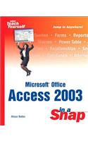 Microsoft Office Access 2003 in a Snap