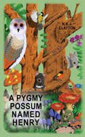 Pygmy Possum Named Henry