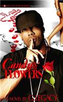 Candy & Flowers