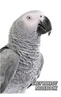 Grey Parrot Notebook