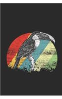 Toucan