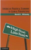 American Political Economy in Global Perspective