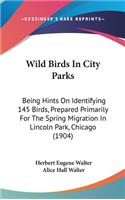 Wild Birds in City Parks