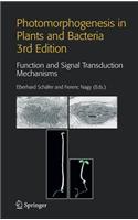 Photomorphogenesis in Plants and Bacteria