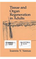 Tissue and Organ Regeneration in Adults