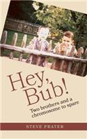 Hey, Bub!: Two Brothers and a Chromosome to Spare: Two Brothers and a Chromosome to Spare