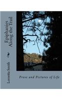 Epiphanies Along the Trail