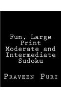 Fun, Large Print Moderate and Intermediate Sudoku: Easy to Read, Large Grid Puzzles