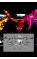 Booze Survival Guide