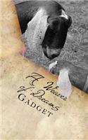 A Weaver of Dreams: Gadget's Tome of Mischief and Scribblings