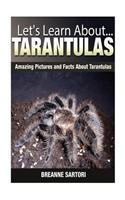 Tarantulas: Amazing Pictures and Facts about Tarantulas