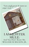 I am Jupiter Mule