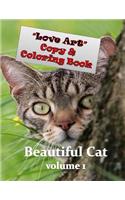 Love Art Copy & Coloring Book: Beautiful Cat