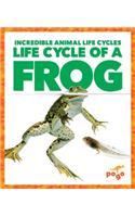 Life Cycle of a Frog