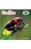 Fireflies