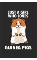 Meerschweinchen Notizbuch