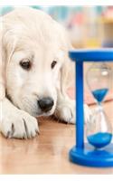 2020 Daily Planner Cute Lab Puppy Watches Sands Through Hourglass 388 Pages: 2020 Planners Calendars Organizers Datebooks Appointment Books Agendas