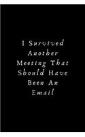 I Survived Another Meeting That Should Have Been An Email