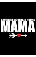 Bavarian Mountain Hound Mama