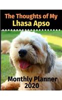 The Thoughts of My Lhasa Apso