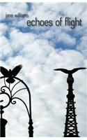 echoes of flight