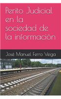 Perito Judicial En La Sociedad de la Información