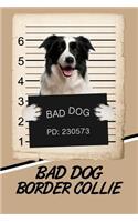 Bad Dog Border Collie: Handwriting Practice Paper for Kids Notebook with Dotted Lined Sheets for K-3 Students Featuring 120 Pages 6x9