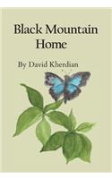 Black Mountain Home