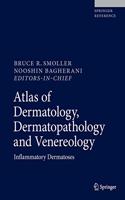 Atlas of Dermatology, Dermatopathology and Venereology