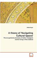 theory of 'Navigating Cultural Spaces'
