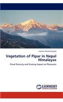 Vegetation of Pipar in Nepal Himalayas