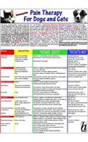 Homeopathic Pain Therapy for Dogs and Cats