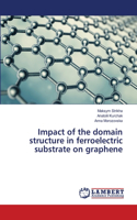 Impact of the domain structure in ferroelectric substrate on graphene