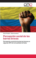 Percepción social de las barras bravas