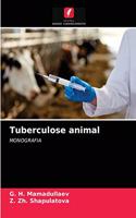 Tuberculose animal