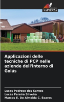 Applicazioni delle tecniche di PCP nelle aziende dell'interno di Goiás